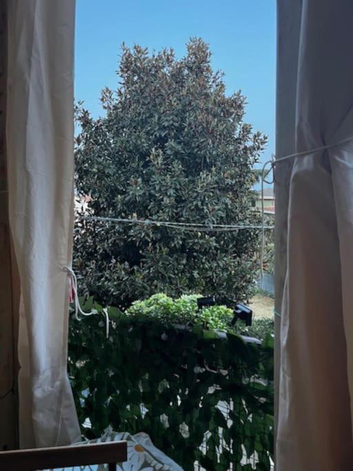 Appartamento Treviglio-Centro エクステリア 写真